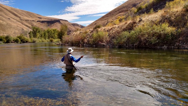 Memancing dengan Teknik Fly Fishing: Panduan untuk Pemula