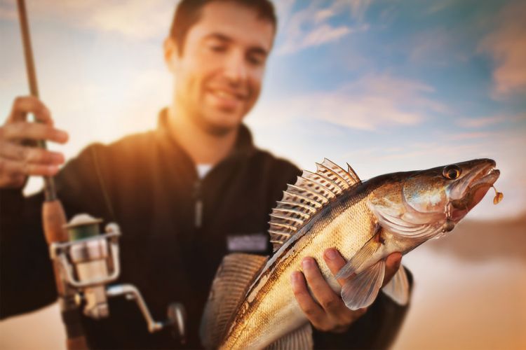 Memancing di Musim Dingin: Persiapan dan Teknik yang Tepat