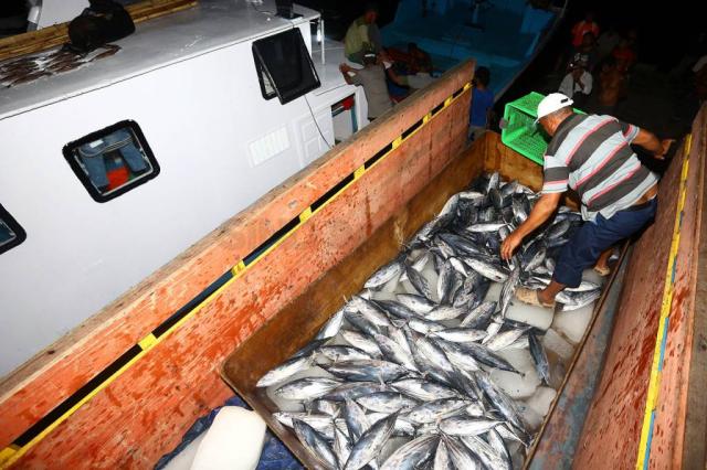 Memancing Ikan Tuna di Perairan Nusa Tenggara