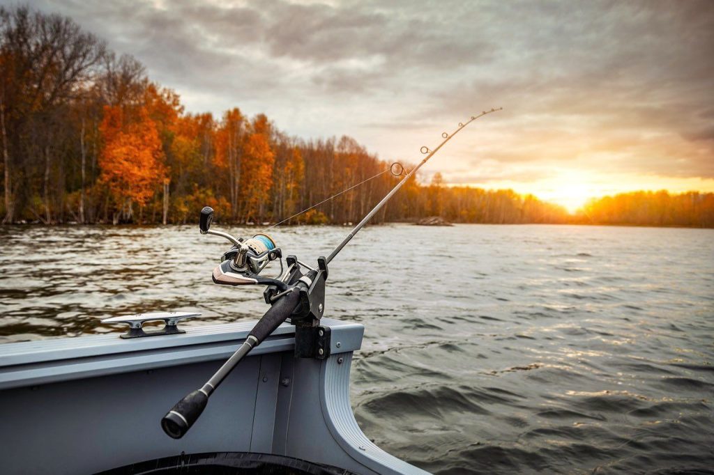 Memancing di Sungai: Strategi dan Umpan yang Efektif